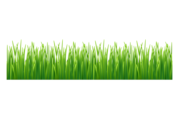 Download Grass Seamless Border. Green Lawn. Natur - Seamless Collection